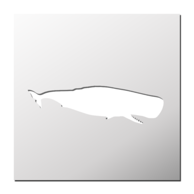 Pochoir Baleine