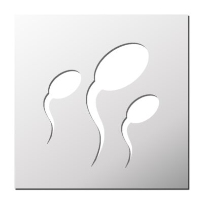 Pochoir Spermatozoïdes