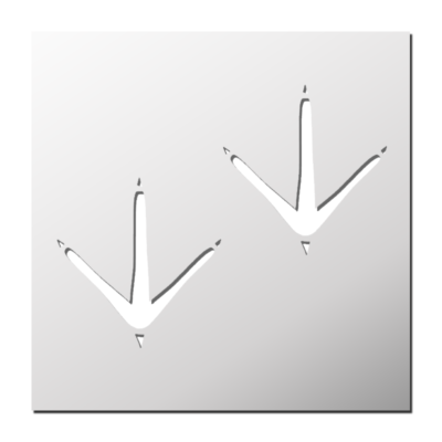 Pochoir Empreintes Oiseau