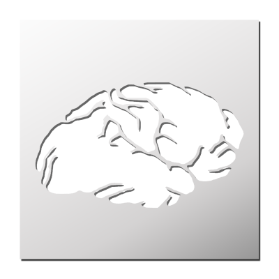 Pochoir Cerveau
