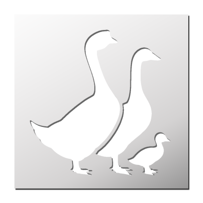 Pochoir Canards