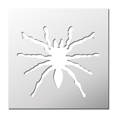 Pochoir Mygale
