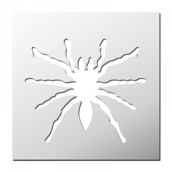 Pochoir Mygale