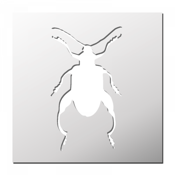 Pochoir Insecte