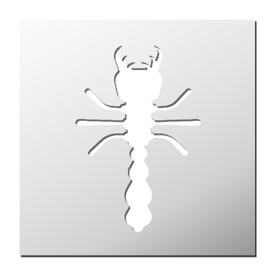 Pochoir Insecte