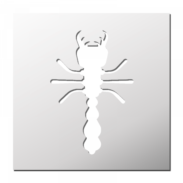 Pochoir Insecte