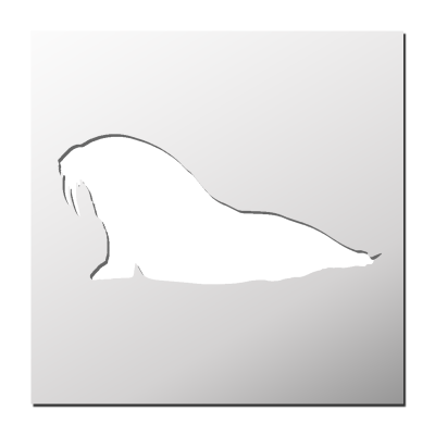 Pochoir Morse