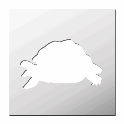 Pochoir Tortue