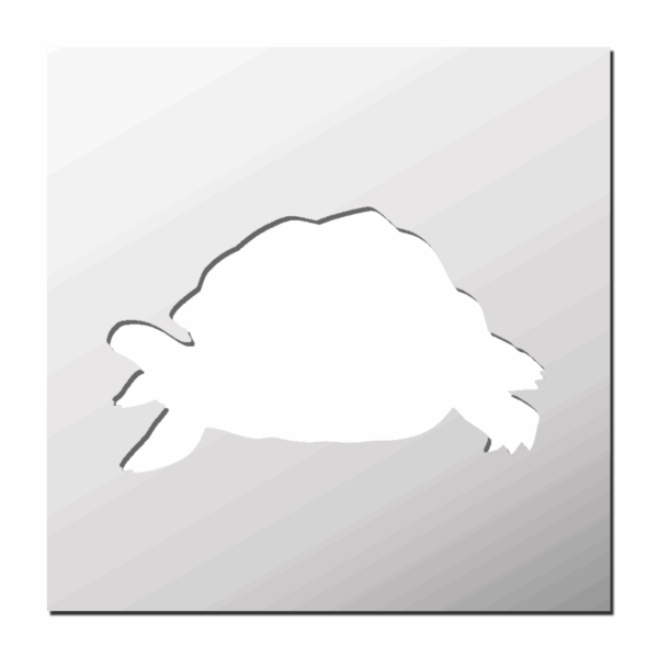 Pochoir Tortue